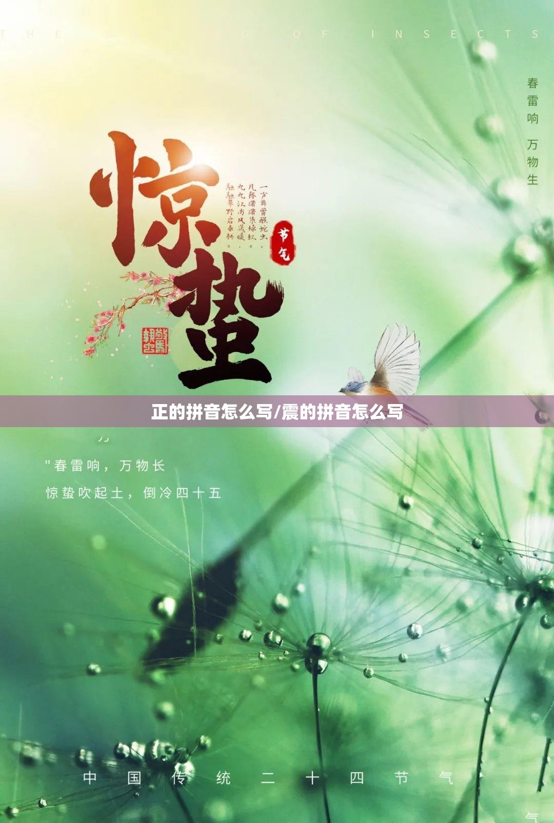 正的拼音怎么写/震的拼音怎么写