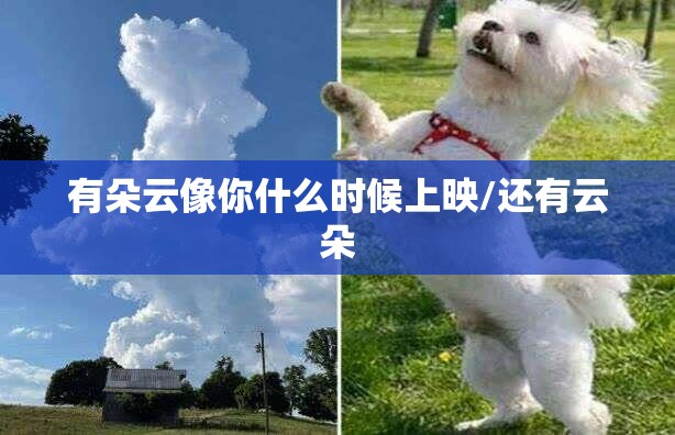有朵云像你什么时候上映/还有云朵