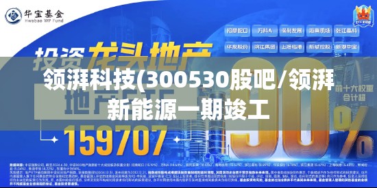领湃科技(300530股吧/领湃新能源一期竣工