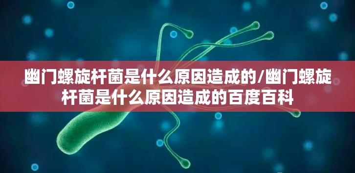 幽门螺旋杆菌是什么原因造成的/幽门螺旋杆菌是什么原因造成的百度百科
