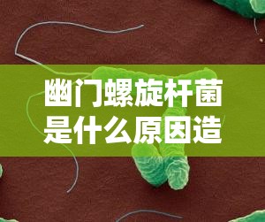 幽门螺旋杆菌是什么原因造成的/幽门螺旋杆菌是什么原因造成的百度百科