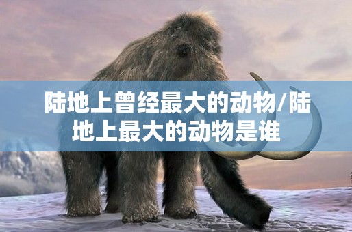 陆地上曾经最大的动物/陆地上最大的动物是谁