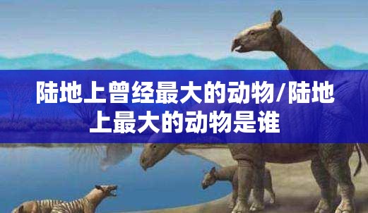 陆地上曾经最大的动物/陆地上最大的动物是谁