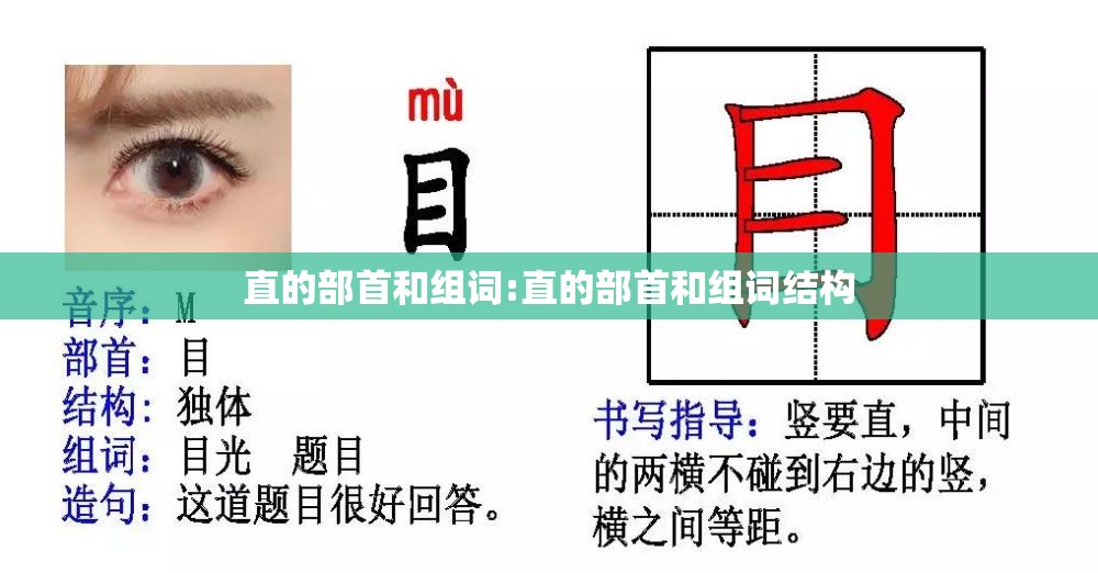 直的部首和组词:直的部首和组词结构