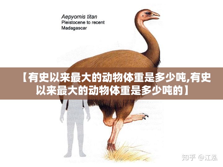 【有史以来最大的动物体重是多少吨,有史以来最大的动物体重是多少吨的】