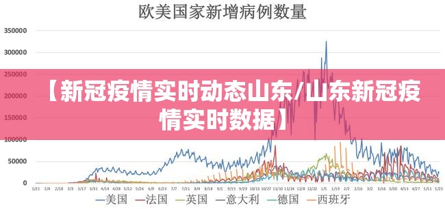 【新冠疫情实时动态山东/山东新冠疫情实时数据】