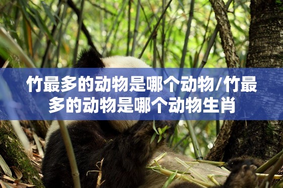 竹最多的动物是哪个动物/竹最多的动物是哪个动物生肖