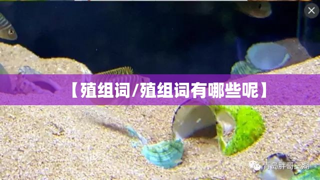 【殖组词/殖组词有哪些呢】