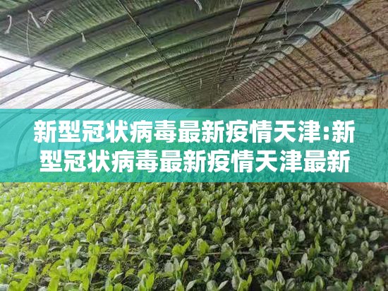 新型冠状病毒最新疫情天津:新型冠状病毒最新疫情天津最新消息