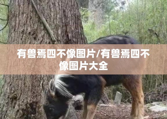 有兽焉四不像图片/有兽焉四不像图片大全