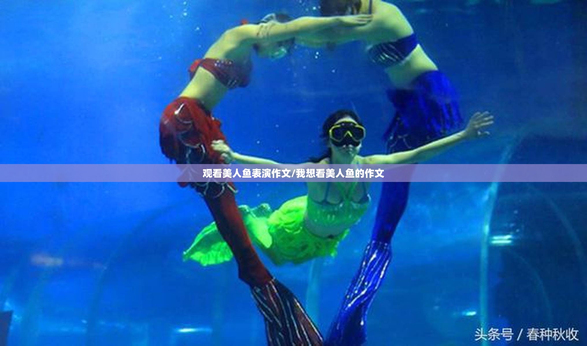 观看美人鱼表演作文/我想看美人鱼的作文