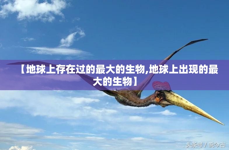 【地球上存在过的最大的生物,地球上出现的最大的生物】