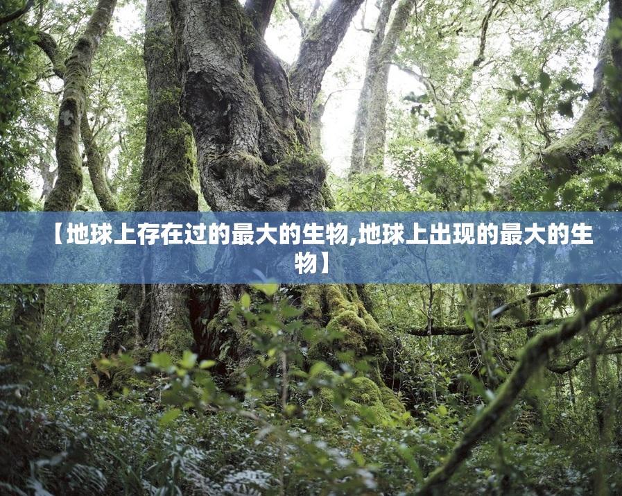 【地球上存在过的最大的生物,地球上出现的最大的生物】