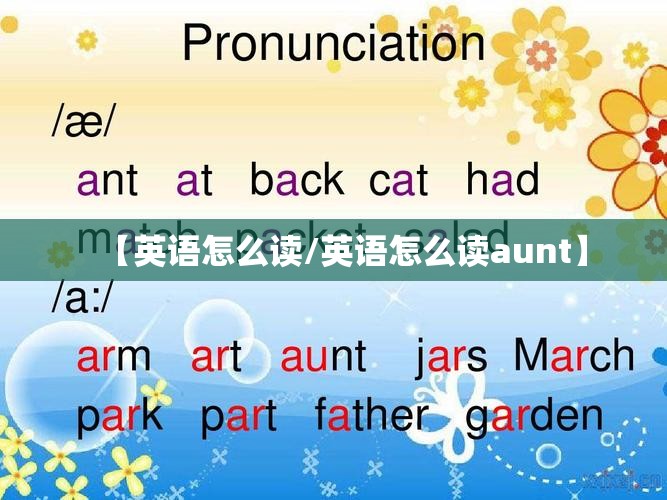 【英语怎么读/英语怎么读aunt】