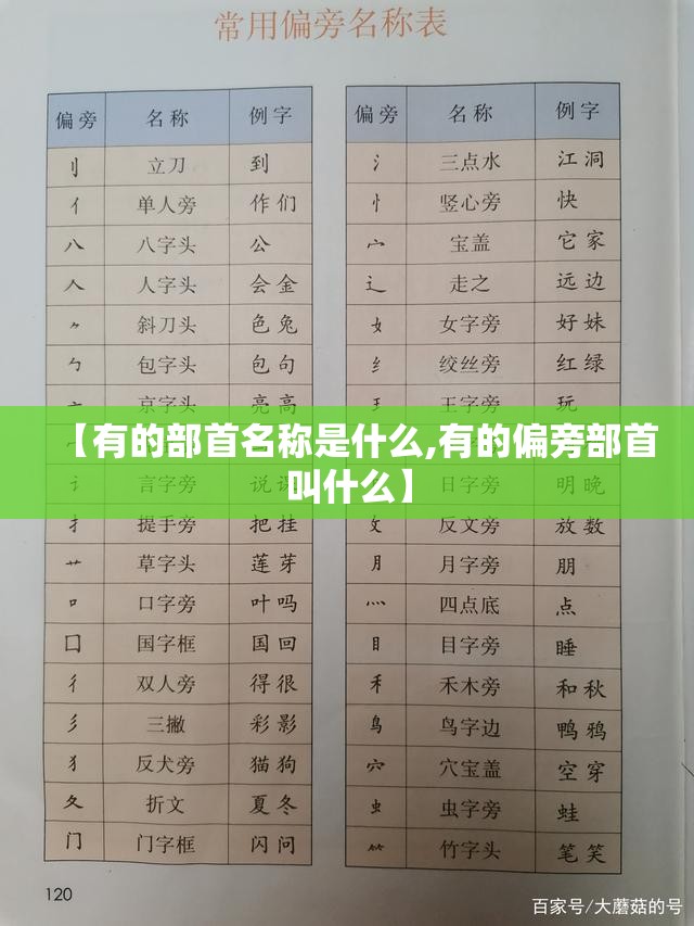 【有的部首名称是什么,有的偏旁部首叫什么】
