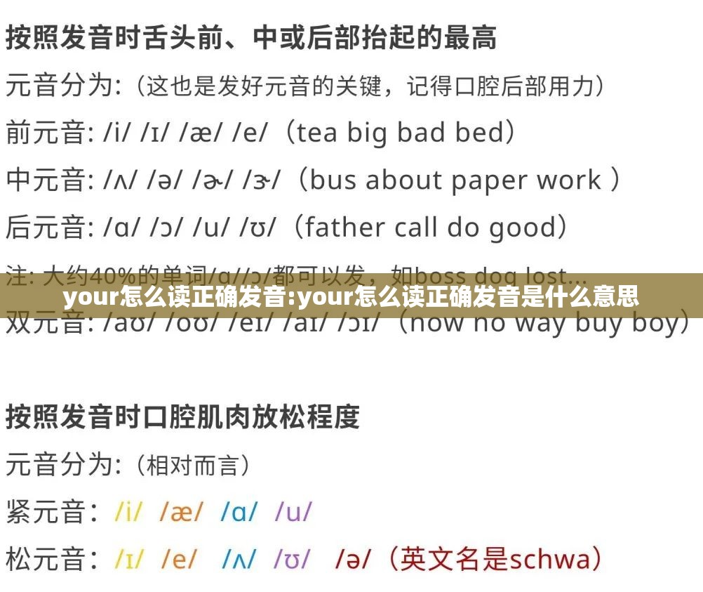 your怎么读正确发音:your怎么读正确发音是什么意思