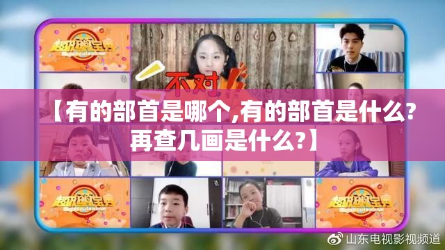 【有的部首是哪个,有的部首是什么?再查几画是什么?】