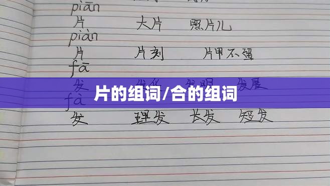 片的组词/合的组词