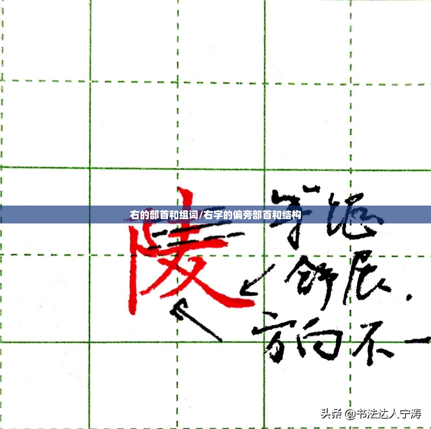 右的部首和组词/右字的偏旁部首和结构