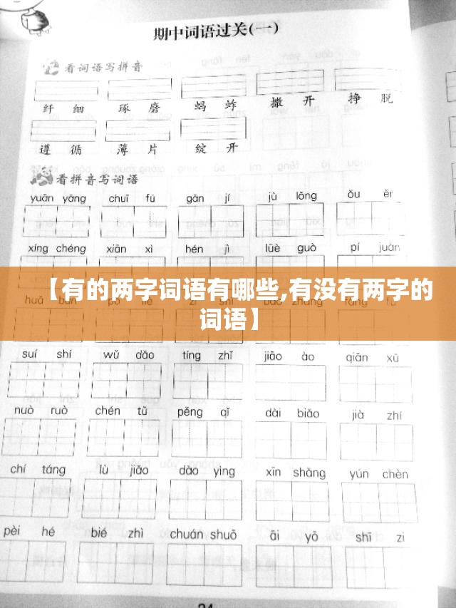 【有的两字词语有哪些,有没有两字的词语】