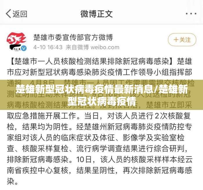 楚雄新型冠状病毒疫情最新消息/楚雄新型冠状病毒疫情