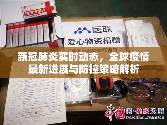 新冠肺炎实时动态，全球疫情最新进展与防控策略解析