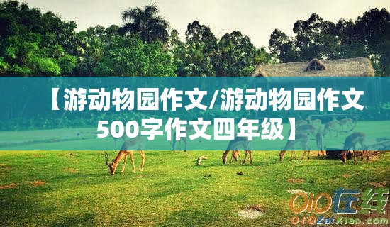 【游动物园作文/游动物园作文500字作文四年级】