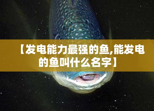 游___作文350字左右四年级/游___作文420字四年级