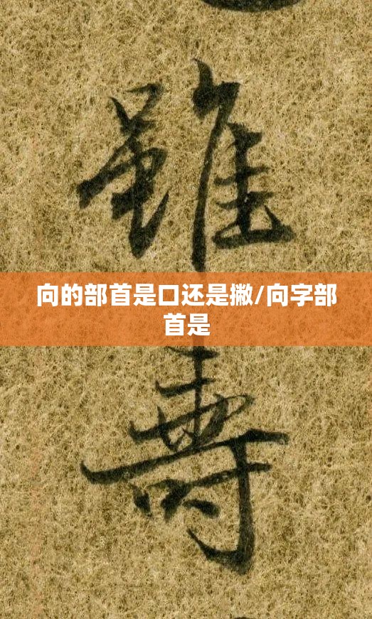 向的部首是口还是撇/向字部首是