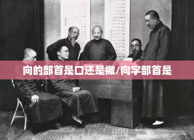 向的部首是口还是撇/向字部首是