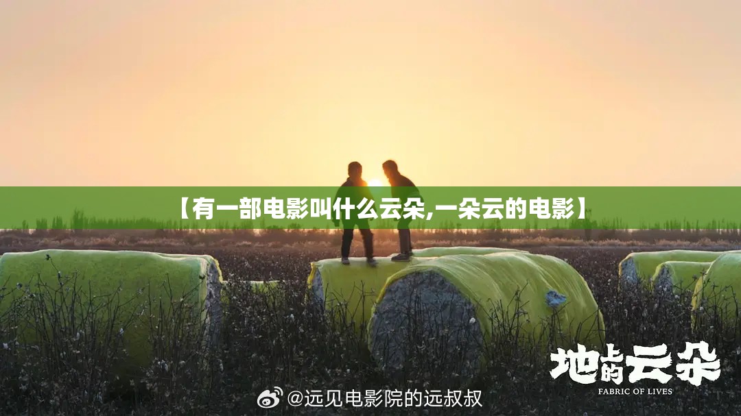 【有一部电影叫什么云朵,一朵云的电影】