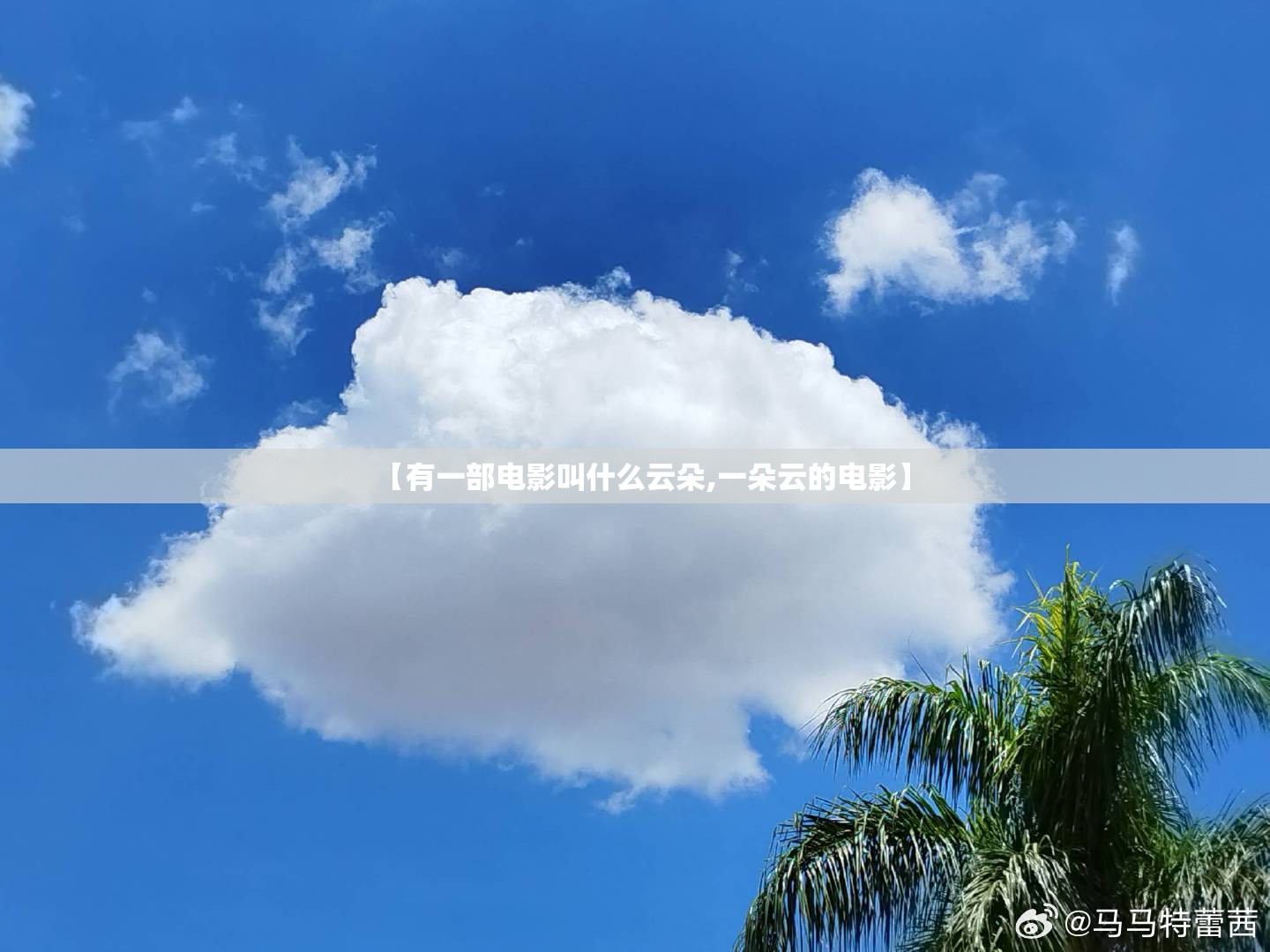 【有一部电影叫什么云朵,一朵云的电影】