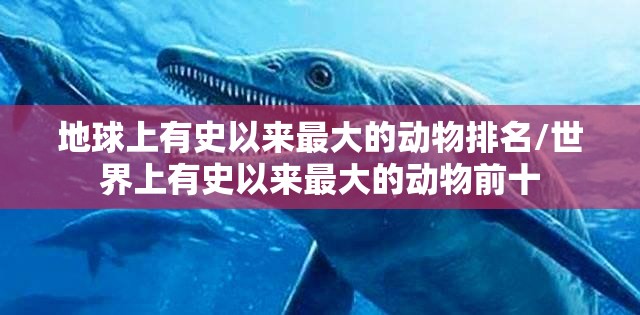 地球上有史以来最大的动物排名/世界上有史以来最大的动物前十