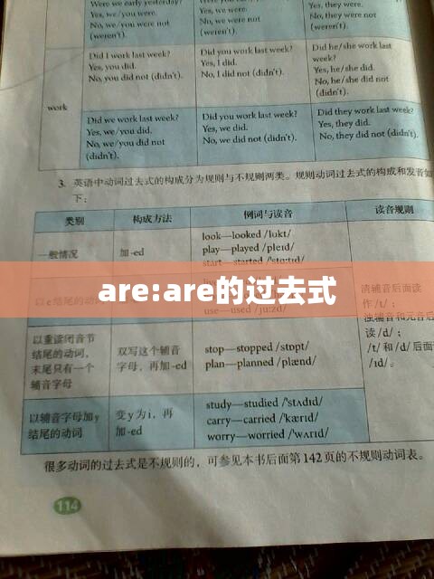 are:are的过去式