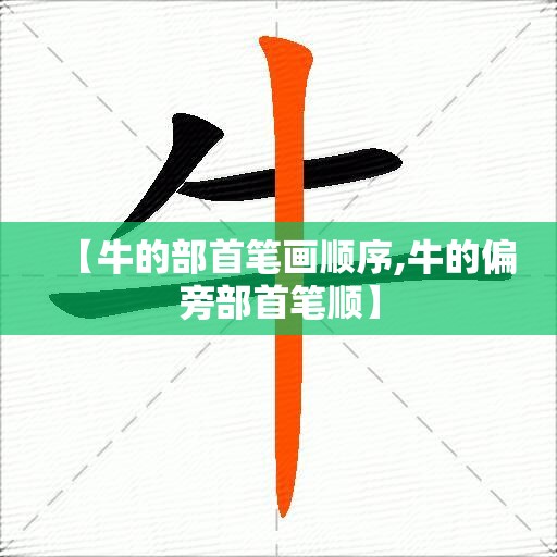 【牛的部首笔画顺序,牛的偏旁部首笔顺】