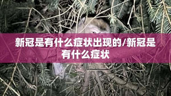 新冠是有什么症状出现的/新冠是有什么症状