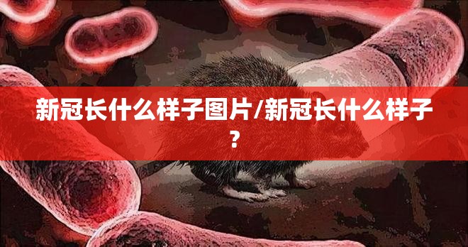 新冠长什么样子图片/新冠长什么样子?