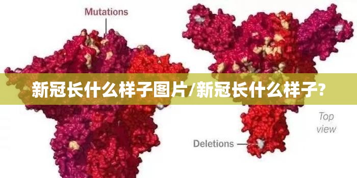 新冠长什么样子图片/新冠长什么样子?