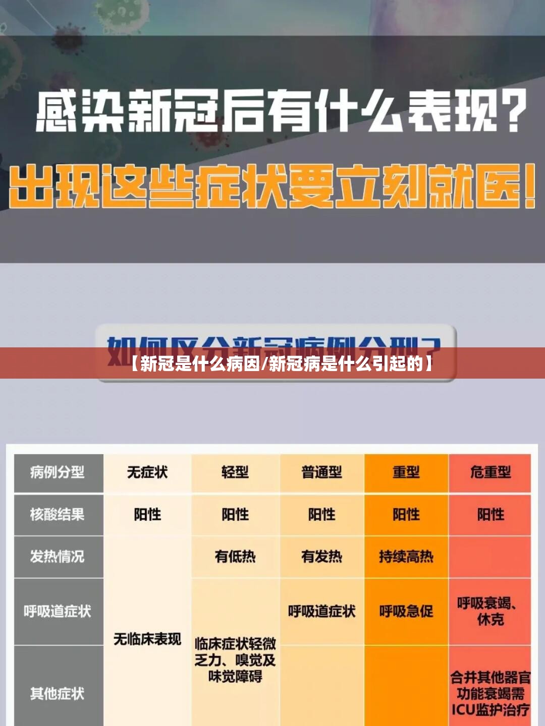 【新冠是什么病因/新冠病是什么引起的】