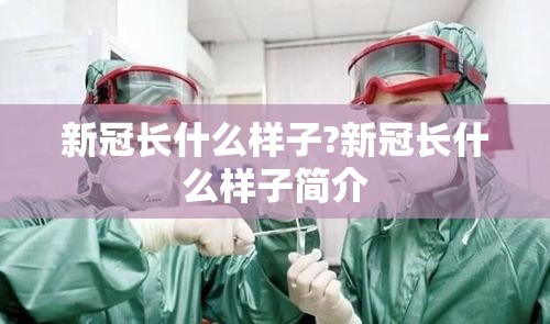新冠长什么样子?新冠长什么样子简介