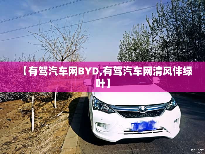 【有驾汽车网BYD,有驾汽车网清风伴绿叶】