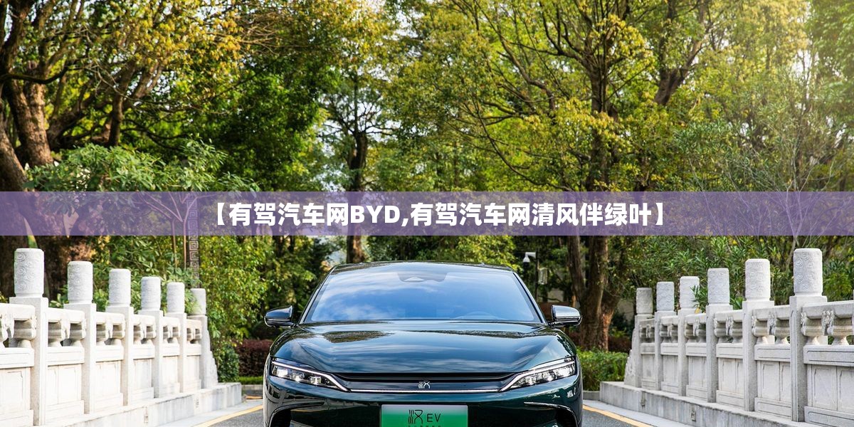 【有驾汽车网BYD,有驾汽车网清风伴绿叶】