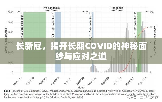 长新冠，揭开长期COVID的神秘面纱与应对之道