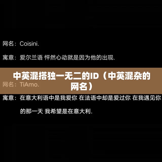 中英混搭独一无二的ID（中英混杂的网名）