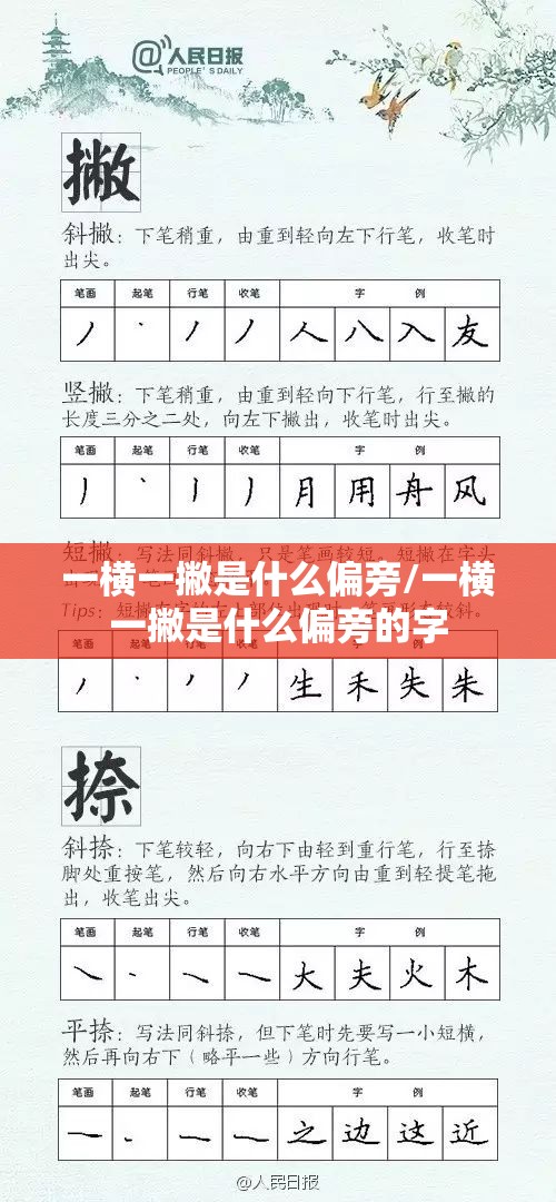 一横一撇是什么偏旁/一横一撇是什么偏旁的字