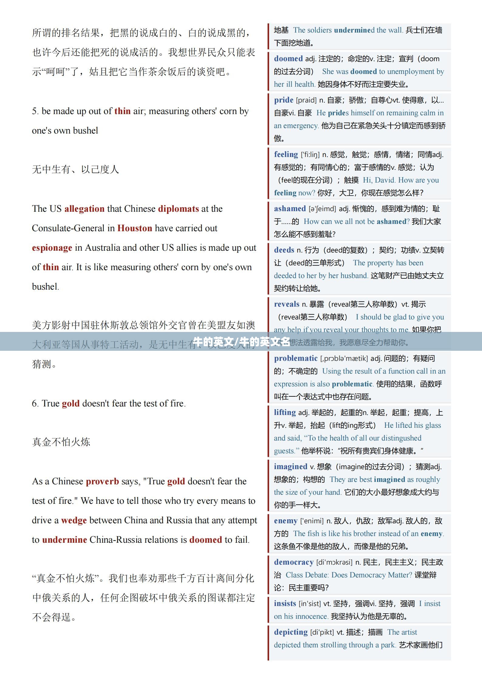 牛的英文/牛的英文名