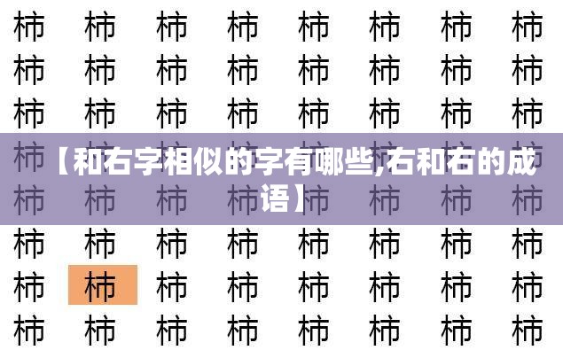 【和右字相似的字有哪些,右和右的成语】