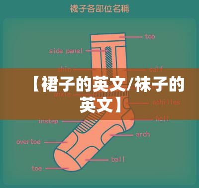【裙子的英文/袜子的英文】