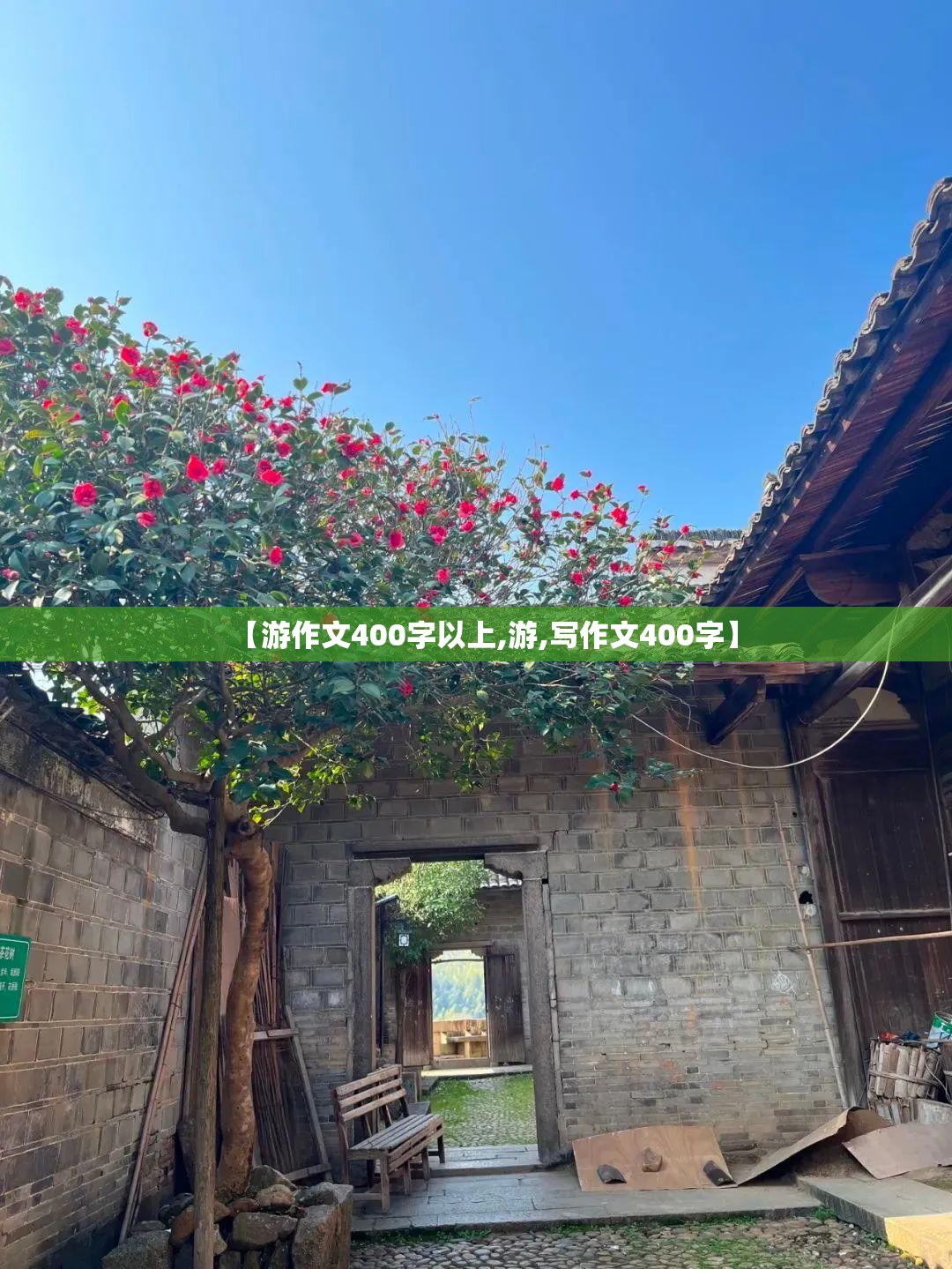 【游作文400字以上,游,写作文400字】