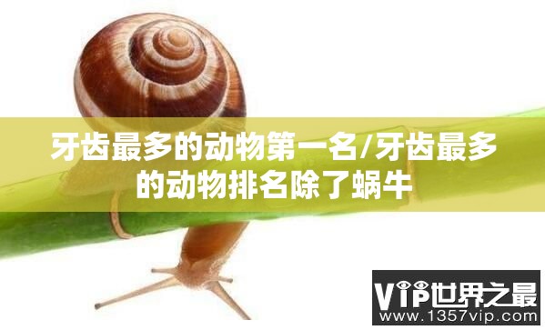 牙齿最多的动物第一名/牙齿最多的动物排名除了蜗牛